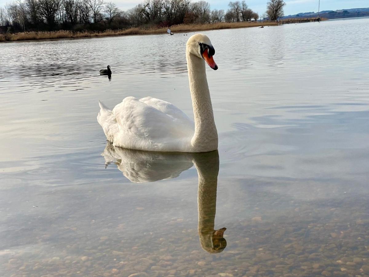 Ferienwohnung Am Chiemsee Übersee Zewnętrze zdjęcie